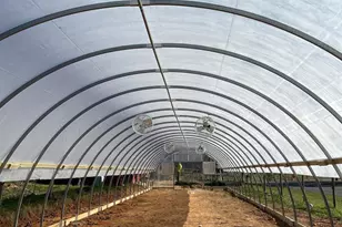 1573 Garrisonville Rd, Stafford, VA 22556 - Photo 58