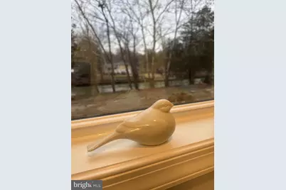 1002 Potomac Drive, Stafford, VA 22554 - Photo 44