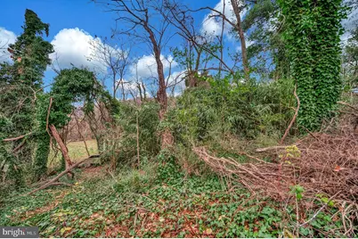 111 Forbes Street, Fredericksburg, VA 22405 - Photo 40