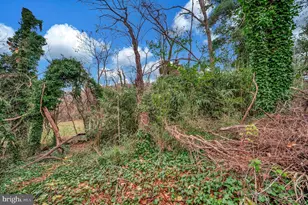 111 Forbes St, Fredericksburg, VA 22405 - Photo 40