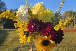 508 Crab Apple Dr, Stafford, VA 22554 - Photo 50