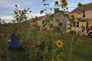 508 Crab Apple Dr, Stafford, VA 22554 - Photo 46