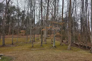 12 Bedford Ct, Fredericksburg, VA 22406 - Photo 42