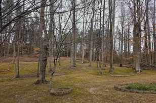 12 Bedford Ct, Fredericksburg, VA 22406 - Photo 44