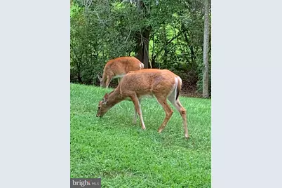 62 Brooke Crest Lane, Stafford, VA 22554 - Photo 54