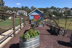 531 Apricot St, Stafford, VA 22554 - Photo 50