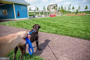 531 Apricot St, Stafford, VA 22554 - Photo 52