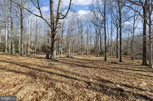 24 Winslow Rd, Fredericksburg, VA 22406 - Photo 16