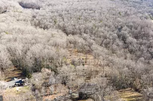 24 Winslow Rd, Fredericksburg, VA 22406 - Photo 60