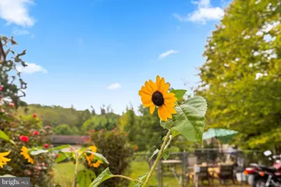 621 Holly Corner Road, Fredericksburg, VA 22406 - Photo 4