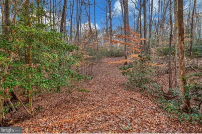 93 Dent Road, Stafford, VA 22554 - Photo 8