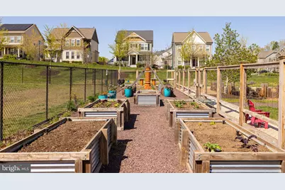 225 Smokebush Drive, Stafford, VA 22554 - Photo 54