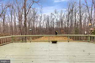 54 Richards Ferry Rd, Fredericksburg, VA 22406 - Photo 44