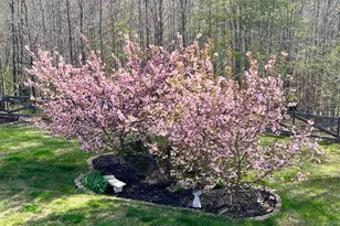 75 Regal Ln, Fredericksburg, VA 22406 - Photo 70