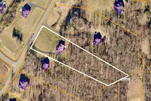 113 Ireland Dr, Fredericksburg, VA 22406 - Photo 66