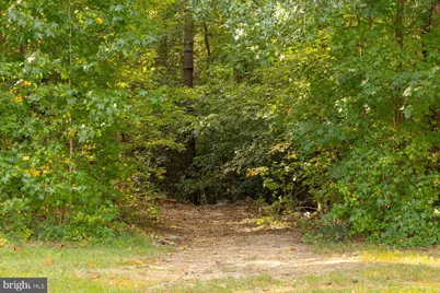 54 Hudson Road, Fredericksburg, VA 22405 - Photo 50