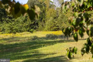 54 Hudson Rd, Fredericksburg, VA 22405 - Photo 48