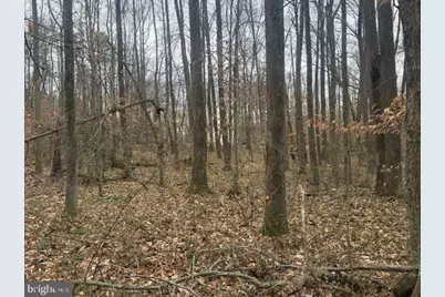 Brooke Road, Stafford, VA 22554 - Photo 28