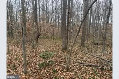 Brooke Road, Stafford, VA 22554 - Photo 12