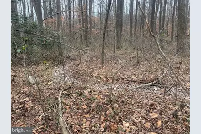 Brooke Road, Stafford, VA 22554 - Photo 20