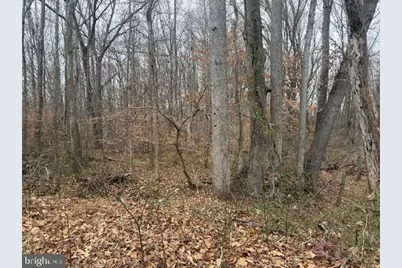 Brooke Road, Stafford, VA 22554 - Photo 14