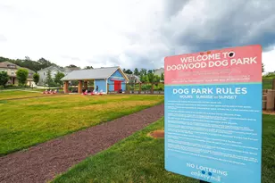 169 Verbena Dr, Stafford, VA 22554 - Photo 52