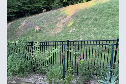 34 Bella Vista Court, Stafford, VA 22554 - Photo 60