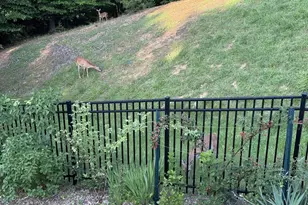 34 Bella Vista Ct, Stafford, VA 22554 - Photo 60