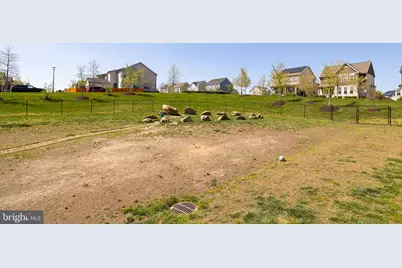 225 Smokebush Drive, Stafford, VA 22554 - Photo 52