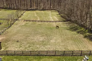 212 Kellogg Mill Rd, Fredericksburg, VA 22406 - Photo 66