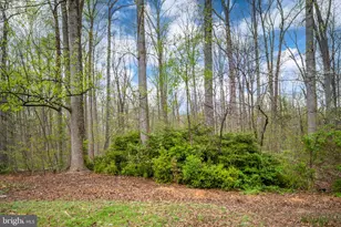 60 Richards Ferry Rd, Fredericksburg, VA 22406 - Photo 34