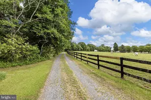 104 Rabbit Rd, Fredericksburg, VA 22405 - Photo 64