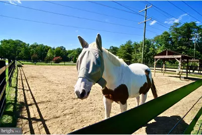 1008 Blackbeard Drive, Stafford, VA 22554 - Photo 56