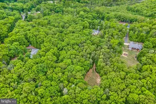 275 Cropp Rd, Fredericksburg, VA 22406 - Photo 70
