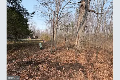 Marsh Lane, Fredericksburg, VA 22406 - Photo 16