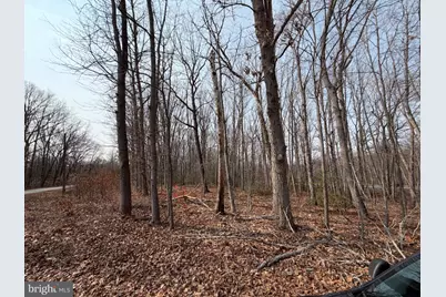 Marsh Lane, Fredericksburg, VA 22406 - Photo 2