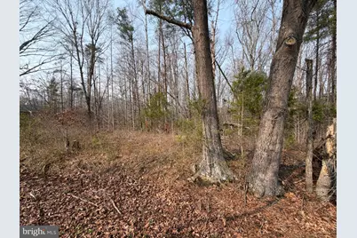 Marsh Lane, Fredericksburg, VA 22406 - Photo 12