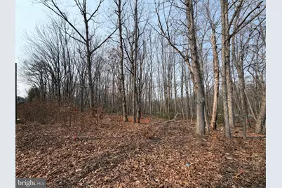 Marsh Lane, Fredericksburg, VA 22406 - Photo 4