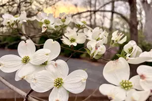 104 Blaisdell Ln, Fredericksburg, VA 22405 - Photo 10