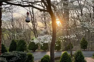 104 Blaisdell Ln, Fredericksburg, VA 22405 - Photo 8