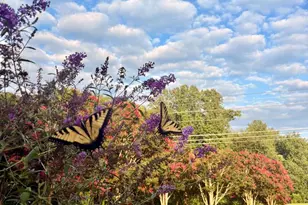 104 Blaisdell Ln, Fredericksburg, VA 22405 - Photo 12