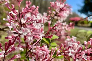 104 Blaisdell Ln, Fredericksburg, VA 22405 - Photo 8