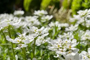 104 Blaisdell Ln, Fredericksburg, VA 22405 - Photo 2