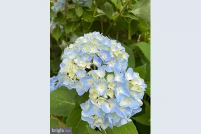 104 Blaisdell Lane, Fredericksburg, VA 22405 - Photo 4