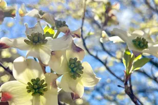 104 Blaisdell Ln, Fredericksburg, VA 22405 - Photo 14