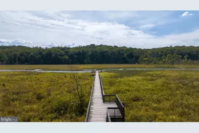 2225 Camp Geary Lane, Stafford, VA 22554 - Photo 88