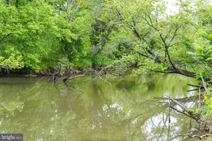 109 Nina Cove, Stafford, VA 22554 - Photo 82