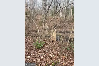 406 Truslow Road, Fredericksburg, VA 22405 - Photo 2