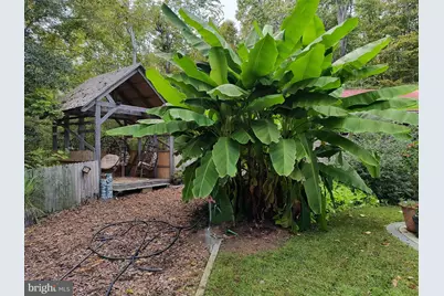 41 Wood Landing Road, Fredericksburg, VA 22405 - Photo 68