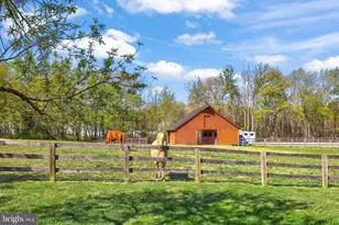 171 Poplar Rd, Fredericksburg, VA 22406 - Photo 50